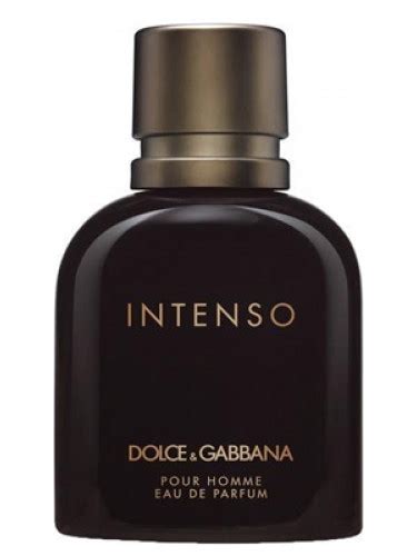 dolce dolce e gabbana recensioni